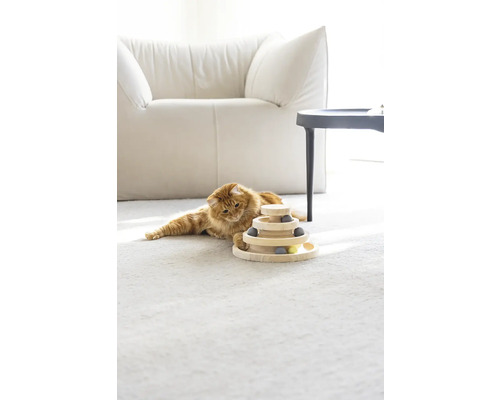 Chat couché sur le tapis à côté d''un jouet d''empilage de boules en bois