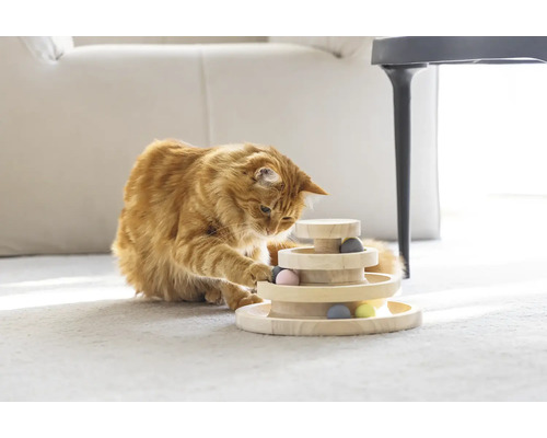 Chat jouant avec un jouet pour chat en bois à plusieurs niveaux