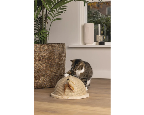 Chat jouant avec un jouet à gratter avec des plumes dans un salon.