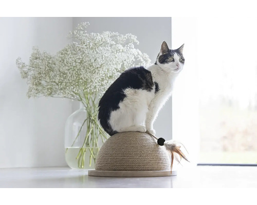 Un chat est assis sur un griffoir à côté d''un bouquet de fleurs.