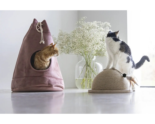 Accessoires pour chat: niche pour chat, griffoir et deux chats