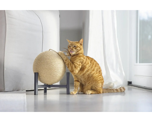 Katze kratzt an einem Kratzball auf einem Ständer.