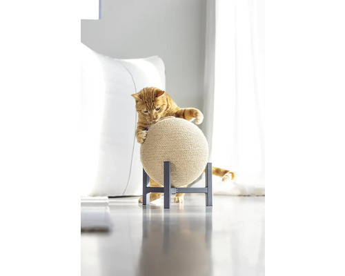 Katze kratzt an einem Kratzball auf einem Ständer.