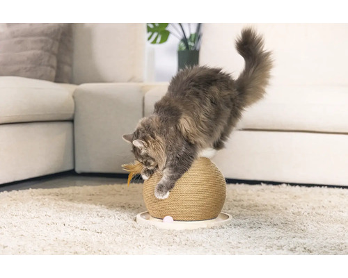 Katze spielt mit einem Kratzball in einer Wohnzimmerszene.