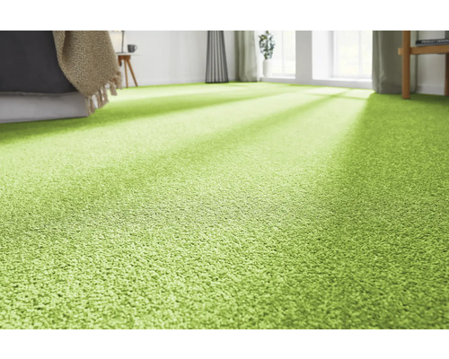 Gros plan d'une pièce avec de la moquette verte.