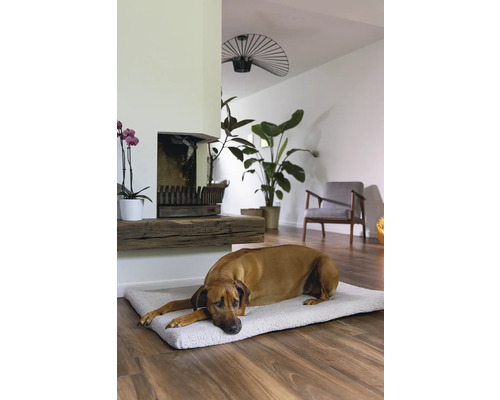 Chien allongé sur un lit pour chien dans un salon lumineux.