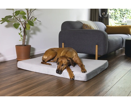 Chien allongé sur un lit pour chien dans le salon.