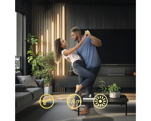 Couple dansant dans un salon avec lampadaire et plantes d''intérieur