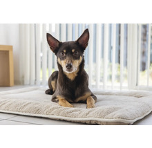 Un chien est allongé sur un lit pour chien.
