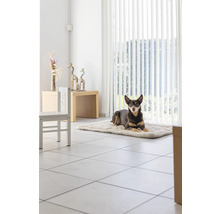 Chien allongé sur un tapis pour chien dans une pièce lumineuse avec des stores et un carrelage