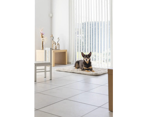 Hund liegt auf einer Hundematte in einem hellen Raum mit Jalousien und Fliesenboden
