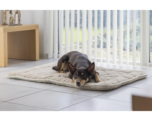 Hund liegt auf einer gesteppten Hundematte im Wohnzimmer.