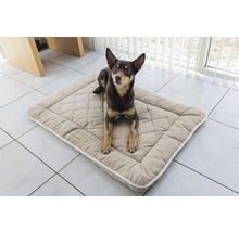 Chien couché sur un tapis pour chien matelassé à l''intérieur
