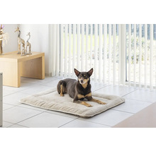 Chien couché sur un lit pour chien à l''intérieur