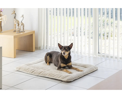 Hund liegt auf einem Hundebett im Innenraum