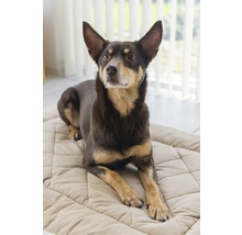 Un chien est allongé sur un lit pour chien.