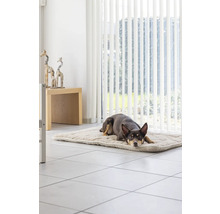 Chien allongé sur un tapis pour chien dans une pièce lumineuse