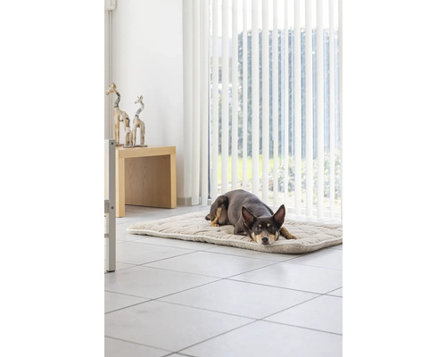 Hund liegt auf einer Hundematte in einem hellen Raum