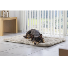 Chien allongé sur un tapis pour chien matelassé à l''intérieur