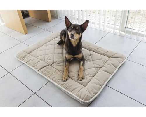Hund liegt auf einem beigen Hundebett mit Rautenmuster.