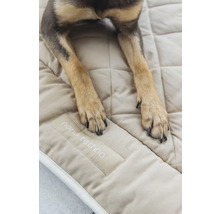 Pattes de chien sur une couverture pour chien matelassée portant l''inscription nanotechnologie
