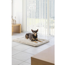 Un chien se repose sur un tapis pour chien dans une pièce lumineuse.