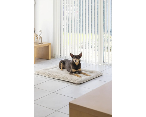 Ein Hund ruht auf einer Hundematte in einem hellen Raum.