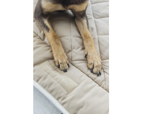 Hundepfoten auf einer gesteppten Hundematte mit Nano Techno Aufdruck