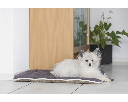 Ein weißer Hund liegt auf einem grauen Hundebett.