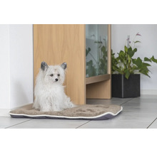 Un chien blanc est assis sur un lit pour chien.