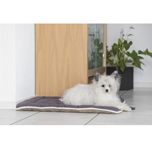 Petit chien se reposant sur un lit pour chien