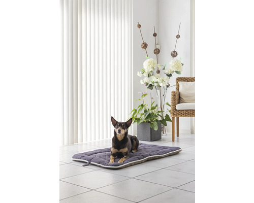 Hund liegt auf einem gesteppten Hundebett im Innenbereich.