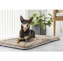 Chien couché sur un coussin pour chien à l''intérieur.