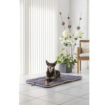 Chien allongé sur un lit pour chien matelassé dans une pièce lumineuse.