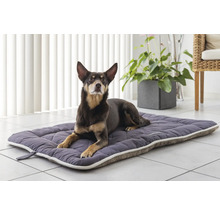 Chien allongé sur un lit pour chien matelassé