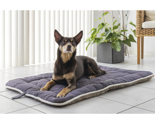 Hund liegt auf einem gesteppten Hundebett