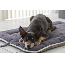 Chien dormant sur un lit pour chien gris