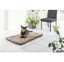 Chien couché sur un lit pour chien rectangulaire dans la pièce.