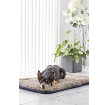 Chien allongé sur un lit pour chien dans une pièce lumineuse.