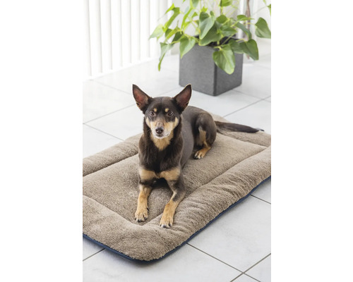 Hund liegt auf einer braunen Hundematte auf einem gefliesten Boden.