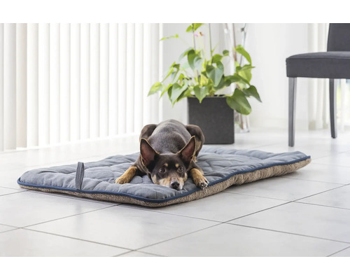 Hund liegt auf einer gesteppten Hundematte im Wohnzimmer.