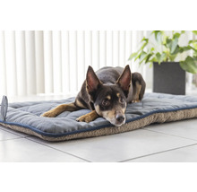 Chien allongé sur un lit pour chien.