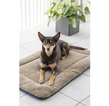 Chien allongé sur un coussin pour chien en textile