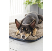 Chien allongé sur un lit pour chien