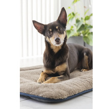 Chien allongé sur un lit pour chien