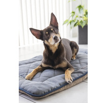 Chien couché sur un lit pour chien
