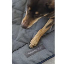 Chien allongé sur un lit pour chien avec étiquette Nano Techno
