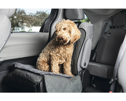 Hund sitzt auf einer Autositzschondecke im Fahrzeug