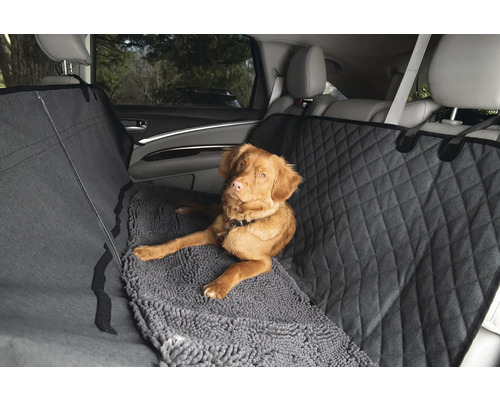 Ein Hund liegt auf einem Autositzbezug im Fond eines Autos.
