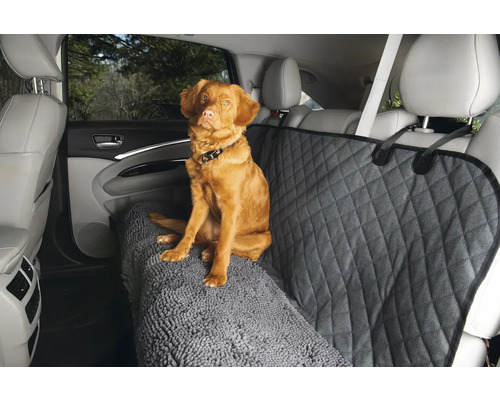 Hund sitzt auf einem Autositzbezug mit Diamantmuster und Teppichstruktur